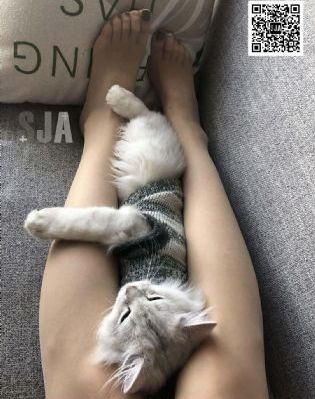 麻豆黄色网站在线免费看_BD国语高清视频观看