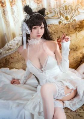 国产精品美女久久久久久网站_BD免费电视剧